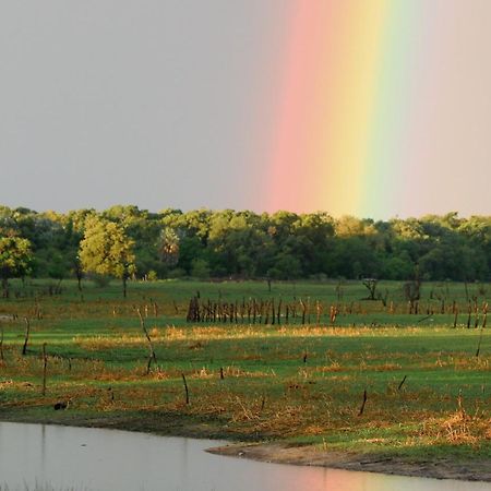 Island Safari Lodge Maun Eksteriør billede