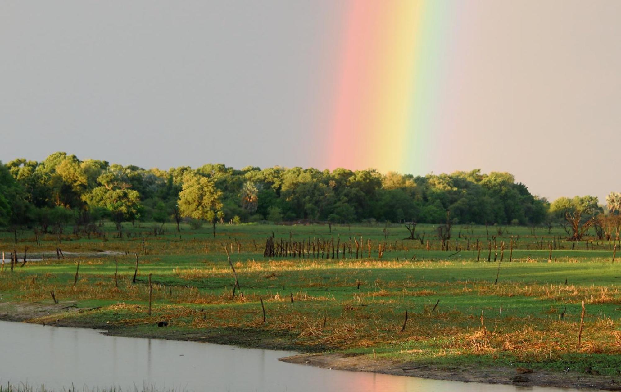 Island Safari Lodge Maun Eksteriør billede