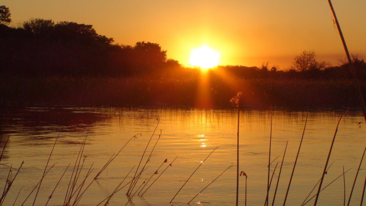 Island Safari Lodge Maun Eksteriør billede