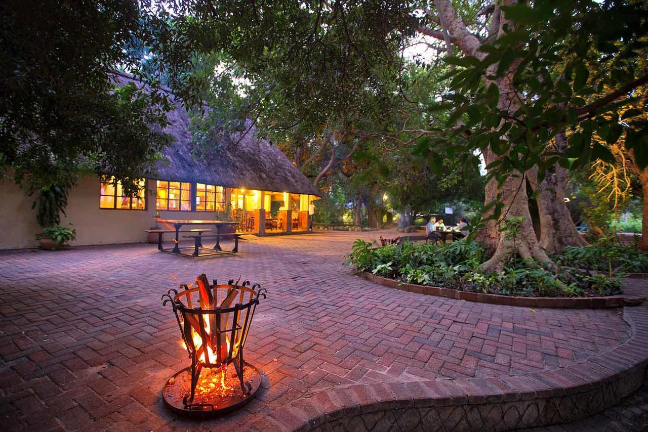 Island Safari Lodge Maun Eksteriør billede